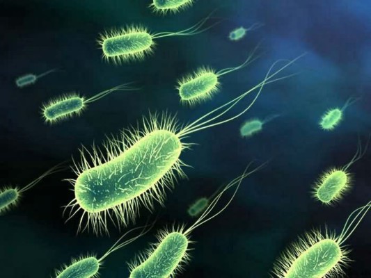Кто кого - бактерии или антибиотики?